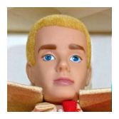 Flocked Ken